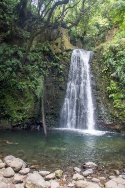 Sao Miguel, Azores, Portekiz 'deki Prego Salto Şelalesi' ni keşfedin..