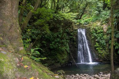 Sao Miguel, Azores, Portekiz 'deki Prego Salto Şelalesi' ni keşfedin..