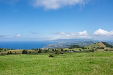 Azores takımadalarında yürüyün. Azores, Sao Miguel adasının keşfi. Portekiz