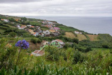 Azores takımadalarında yürüyün. Azores, Sao Miguel adasının keşfi. Portekiz