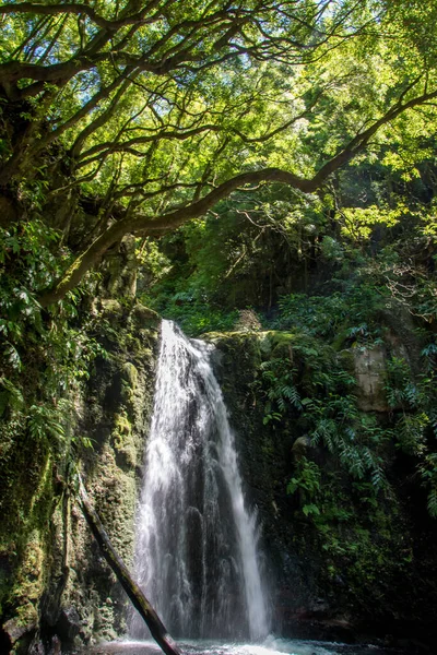 在葡萄牙亚速尔的Sao Miguel岛上散步并发现了前萨尔托瀑布 — 图库照片