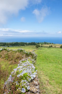 Azores takımadalarında yürüyün. Azores, Sao Miguel adasının keşfi. Portekiz