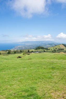 Azores takımadalarında yürüyün. Azores, Sao Miguel adasının keşfi. Portekiz