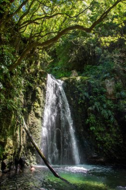 Sao Miguel, Azores, Portekiz 'deki Prego Salto Şelalesi' ni keşfedin..