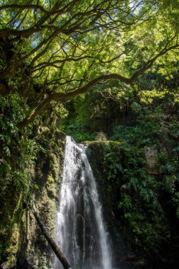 Sao Miguel, Azores, Portekiz 'deki Prego Salto Şelalesi' ni keşfedin..