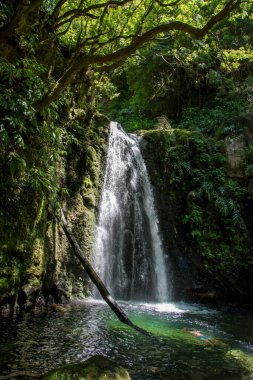 Sao Miguel, Azores, Portekiz 'deki Prego Salto Şelalesi' ni keşfedin..