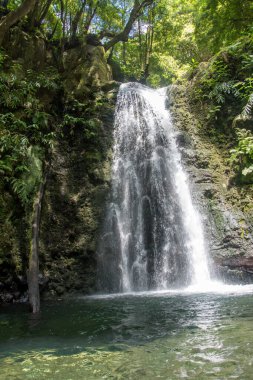 Sao Miguel, Azores, Portekiz 'deki Prego Salto Şelalesi' ni keşfedin..
