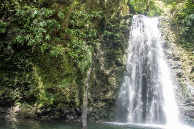 Sao Miguel, Azores, Portekiz 'deki Prego Salto Şelalesi' ni keşfedin..