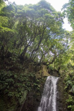 Sao Miguel, Azores, Portekiz 'deki Prego Salto Şelalesi' ni keşfedin..