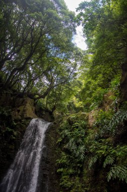 Sao Miguel, Azores, Portekiz 'deki Prego Salto Şelalesi' ni keşfedin..