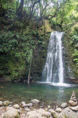 Sao Miguel, Azores, Portekiz 'deki Prego Salto Şelalesi' ni keşfedin..