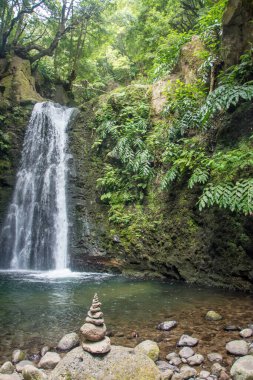 Sao Miguel, Azores, Portekiz 'deki Prego Salto Şelalesi' ni keşfedin..