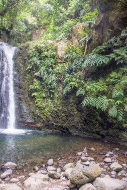 Sao Miguel, Azores, Portekiz 'deki Prego Salto Şelalesi' ni keşfedin..