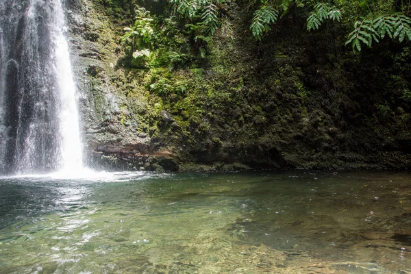 Procházka Objevte Prego Salto Vodopád Ostrově Sao Miguel Azores Portugalsko — Stock fotografie