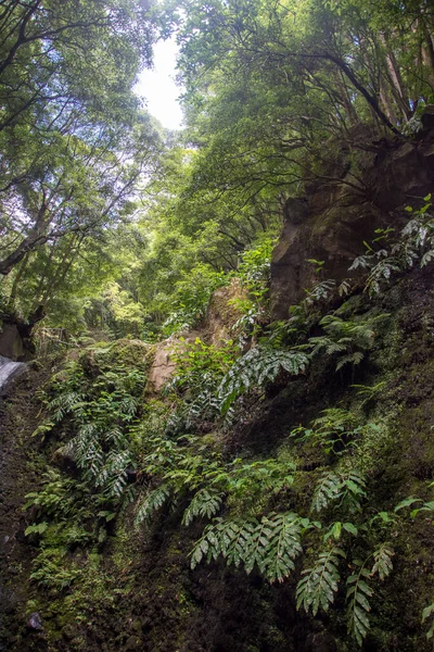 Spacer Odkryj Wodospad Prego Salto Wyspie Sao Miguel Azory Portugalia — Zdjęcie stockowe