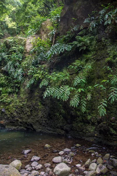 Caminhar Descobrir Prego Salto Cachoeira Ilha São Miguel Açores Portugal — Fotografia de Stock