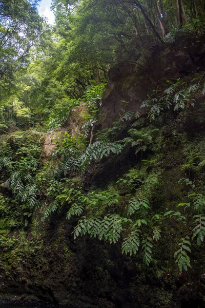 Caminhar Descobrir Prego Salto Cachoeira Ilha São Miguel Açores Portugal — Fotografia de Stock