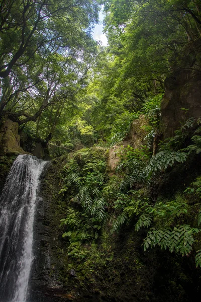 Caminar Descubrir Cascada Prego Salto Isla Sao Miguel Azores Portugal — Foto de Stock