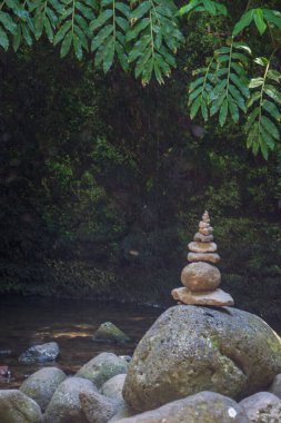 Sao Miguel, Azores, Portekiz 'deki Prego Salto Şelalesi' ni keşfedin..