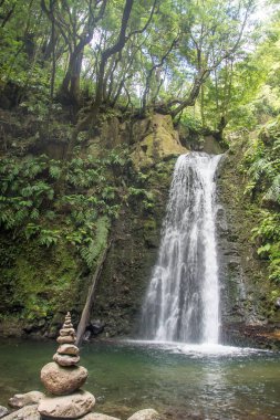 Sao Miguel, Azores, Portekiz 'deki Prego Salto Şelalesi' ni keşfedin..