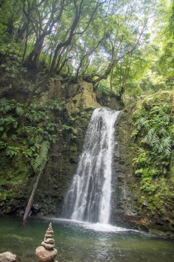 Sao Miguel, Azores, Portekiz 'deki Prego Salto Şelalesi' ni keşfedin..