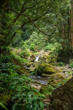 Sao Miguel, Azores, Portekiz 'deki Prego Salto Şelalesi' ni keşfedin..