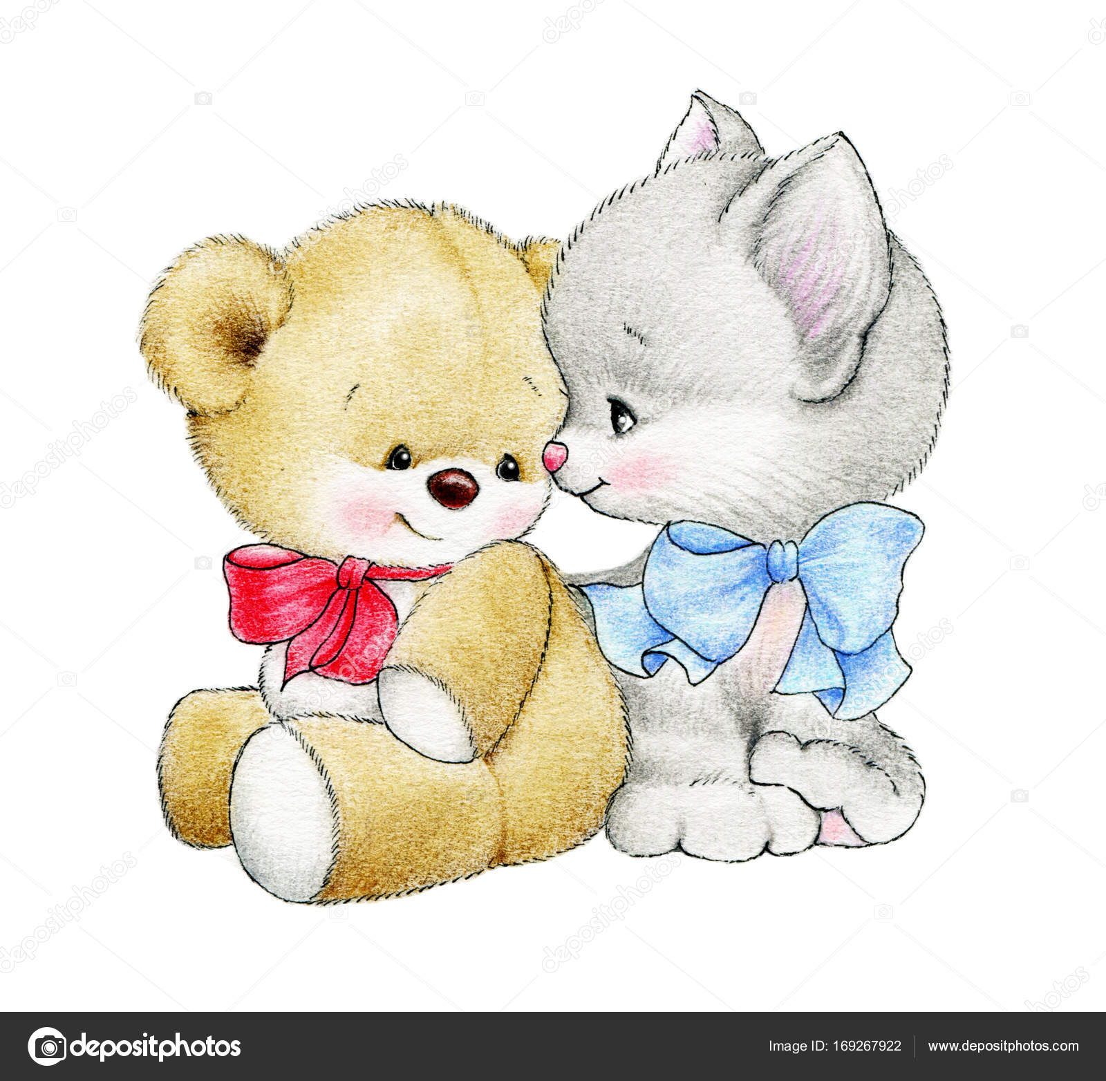 cat and teddy bear