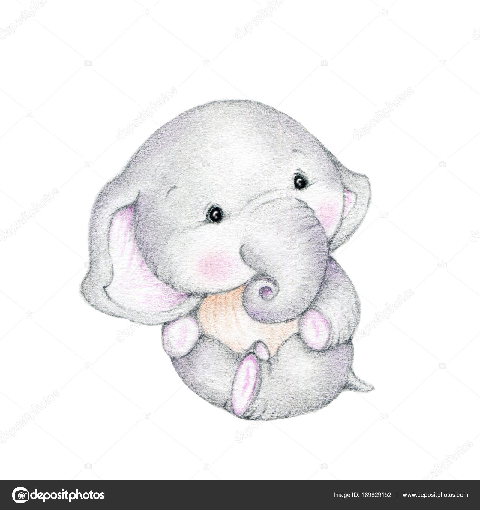 Cute Elephant Baby White Background Stock Photo Image By C Tchumak Cute Elephant Baby White Background Stock Photo Image By C Tchumak