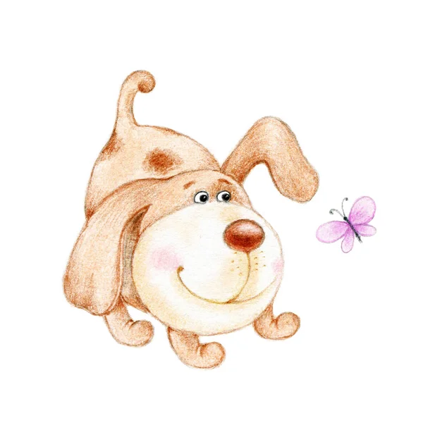 Cute Puppy Butterfly White Background — Stock Photo, Image