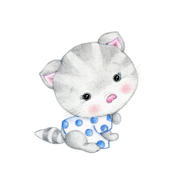 Cute Gray Kitten White Background — Stock Photo, Image