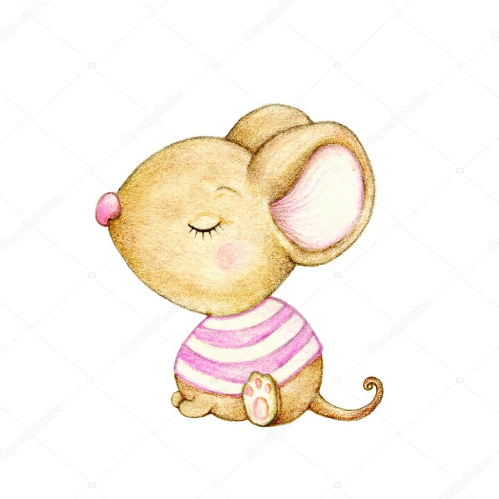 Cute baby mouse on white background 