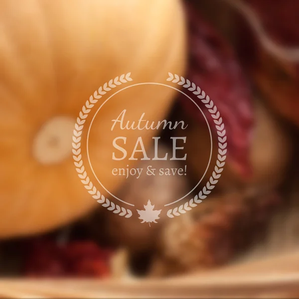 Autumn Sale Vector Banner on Vector Photorealistic Blur Background — Stock Vector