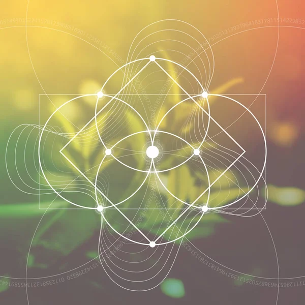 Çiçek yaşam - bulanık fotogerçekçi doğa arka plan önünde iç içe daireler eski simgesi. Kutsal geometri - matematik, doğa ve doğa maneviyat.