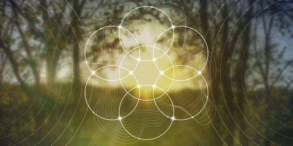 Kutsal geometri web pankartı. Doğada matematik, doğa ve maneviyat. Doğanın formülü. — Stok Vektör