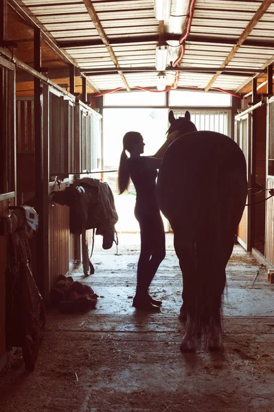 Silhouette einer Pferdebesitzerin, die den Hengst im Stall einspannt — Stockfoto