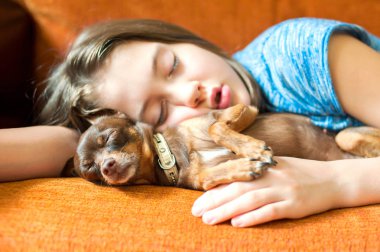 Tatlı rüya. Oyuncak-korkunç köpek onun kız sahibi ile uyku