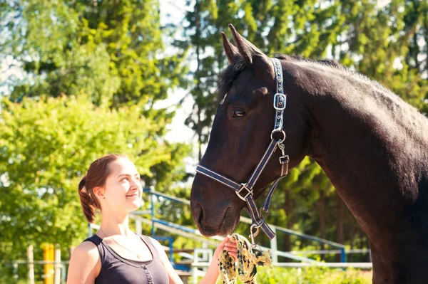 Young lady equestrian near her dark horse at hippodrom. — Stock Photo, Image