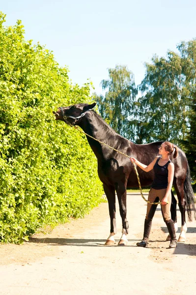 Schwarzes Pferd frisst Baumblätter nahe der jungen Reiterin — Stockfoto