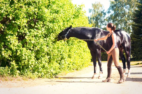 Siyah at Bush yeme yakın genç bayan binicilik bırakır