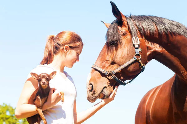 Mijn beste vrienden. Roodharige meisje met haar hond en paard. — Stockfoto