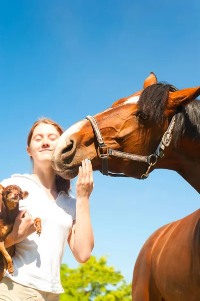 Мои лучшие друзья. Рыжая девушка с собакой и лошадью . — стоковое фото