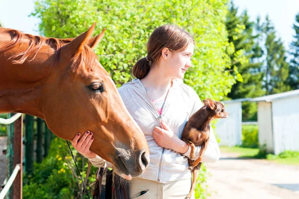 My Best friends. Redhead girl with her dog and horse. — Stock Photo, Image