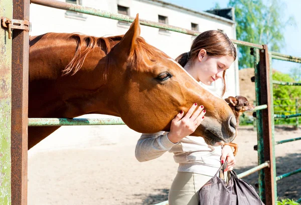 My Best friends. Redhead girl with her dog and horse. — Stock Photo, Image