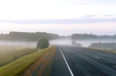 Yumuşak sabah sisli alanları ile kırsal manzara
