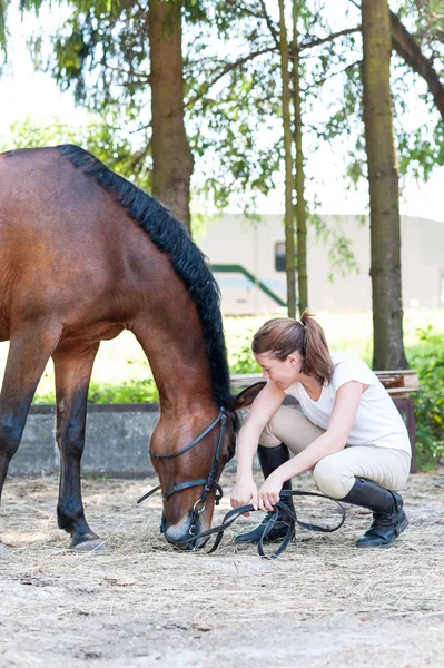Yung ragazza adolescente seduta vicino al suo cavallo di castagne preferito — Foto Stock