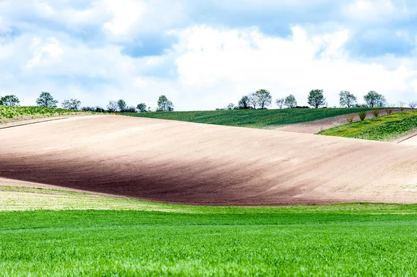 Paisagem com diferentes cores onduladas campos rurais texturizados — Fotografia de Stock