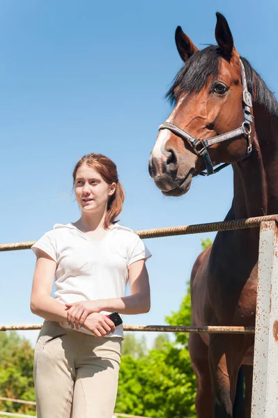 Jovem adolescente equestre pé perto de grande castanha hor — Fotografia de Stock