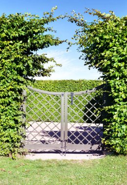 Yeşil ağaçlar hedge Antik ahşap ızgara kapısı.