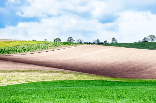 Paisagem com diferentes cores onduladas campos rurais texturizados — Fotografia de Stock