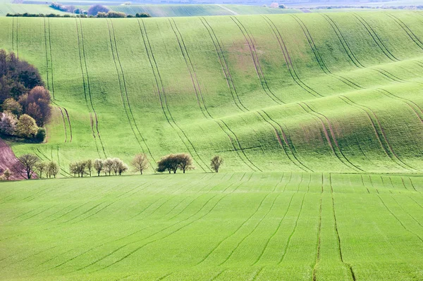 Background/pattern with curves of wavy rolling textured rural fi — Stock Photo, Image